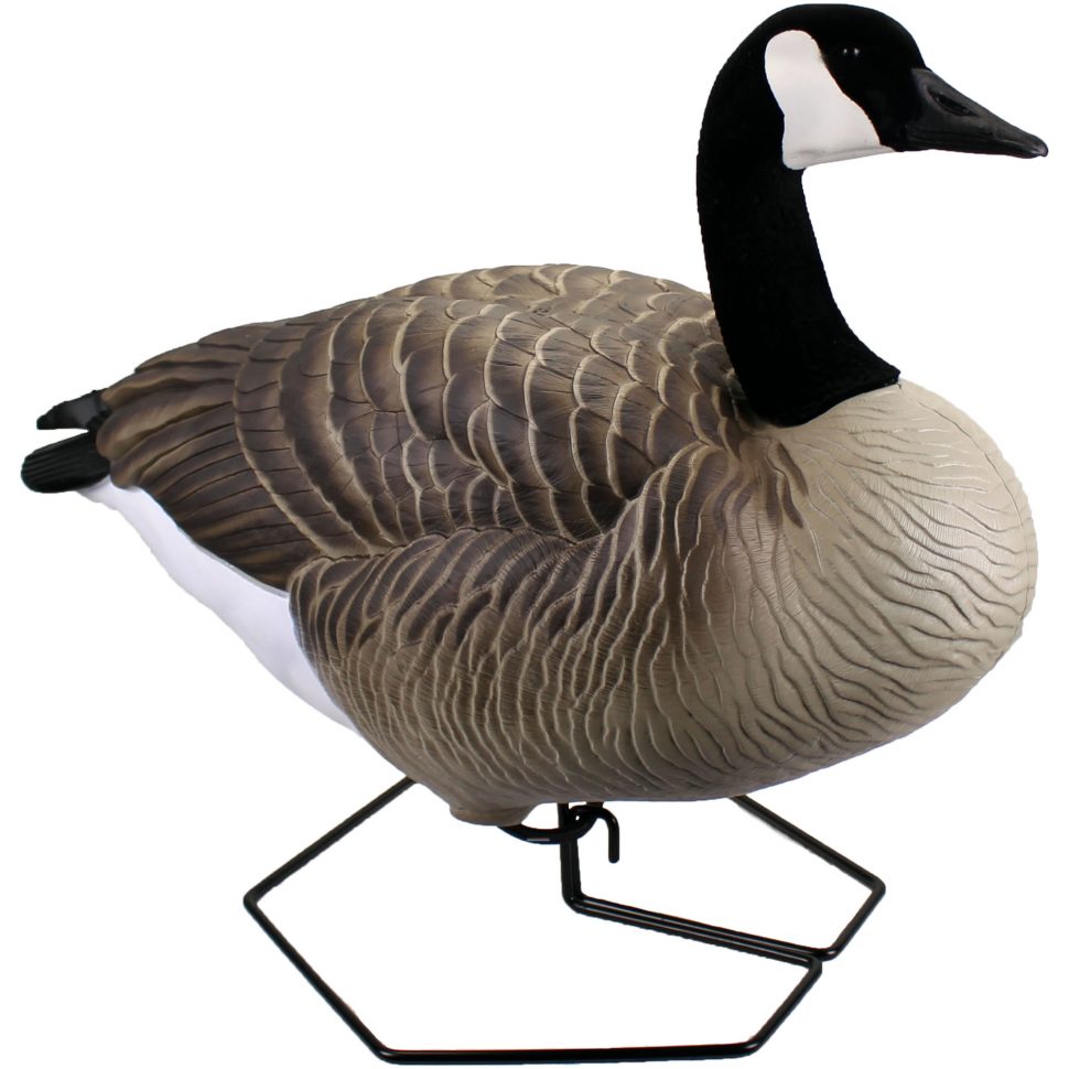 New Full Body Goose Decoys - Explore Beavertail